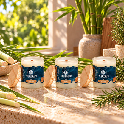 Kit Experimentação com 3 velas aromáticas de 50 g: Capim Limão, Bambu e Alecrim