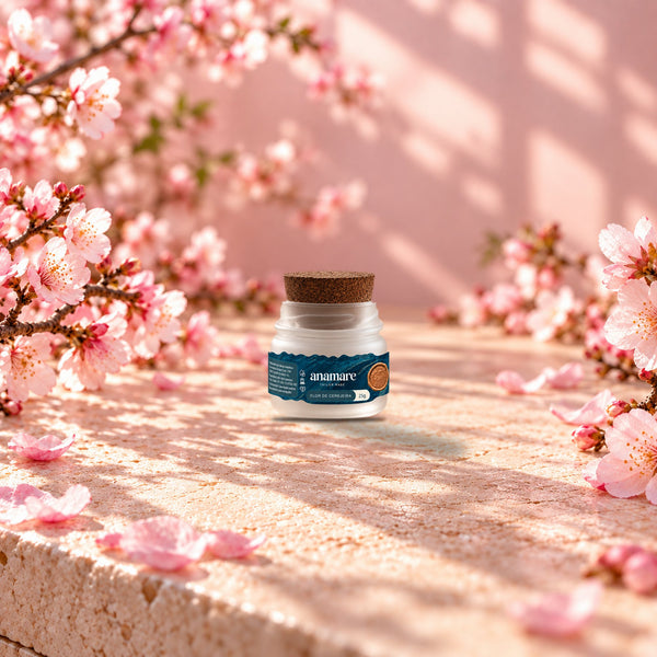 Vela aromática Petit 25 g Flor de Cerejeira sobre bancada de pedra, entre galhos e pétalas de flor de cerejeira