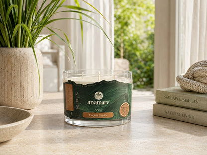Vela Aromática Capim Limão Signature 500 g com três pavios de madeira, pote de vidro grosso em varanda com vaso de capim-limao e livros de decoracao